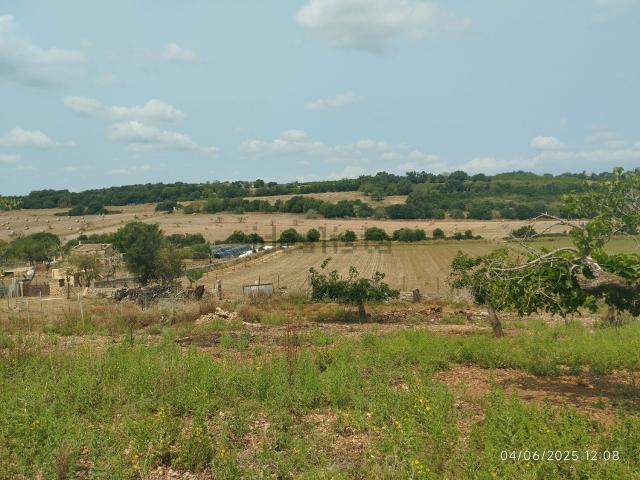 Terreno, Ariany