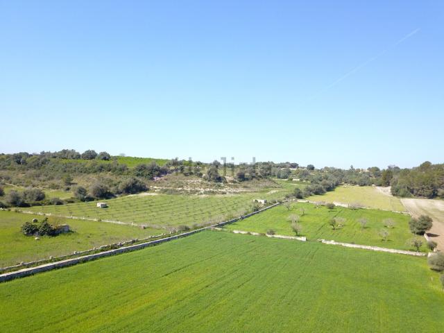 Terreno, Ariany