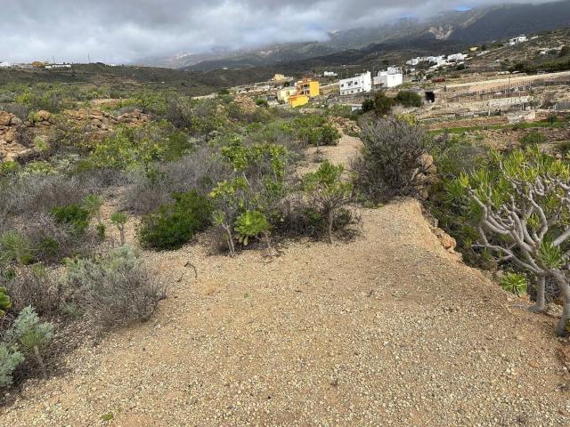 Terreno, Arico