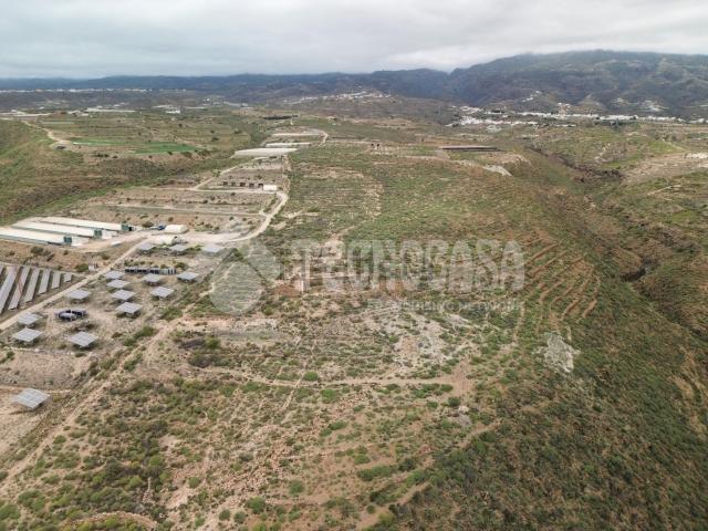 Terreno, Arico