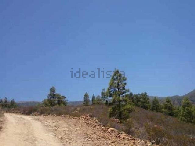 Terreno, Arico