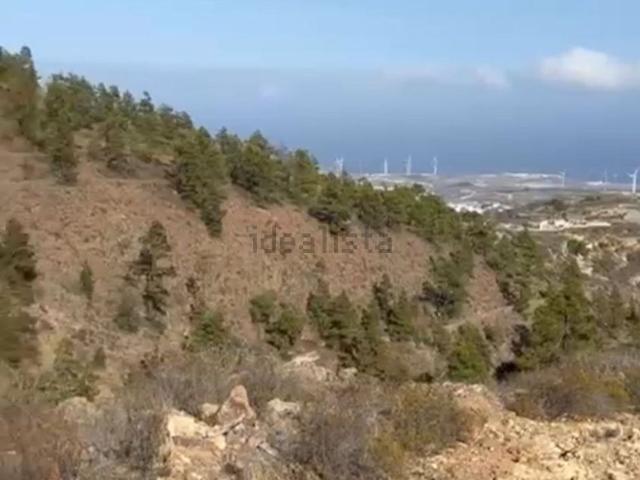 Terreno, Arico