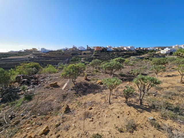 Terreno, Arico