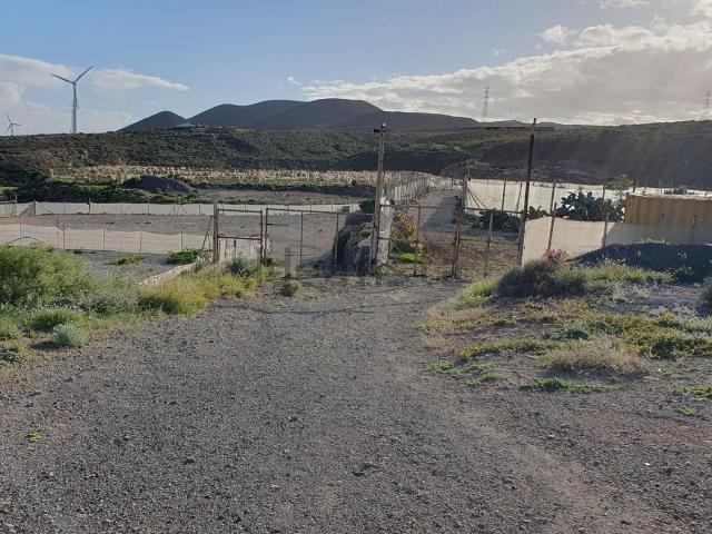 Terreno, Arico