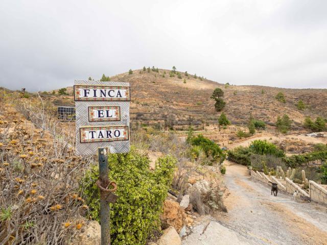 Terreno, Arico
