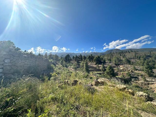 Terreno, Arico