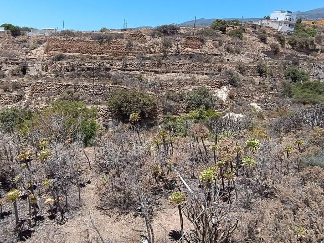 Terreno, Arico