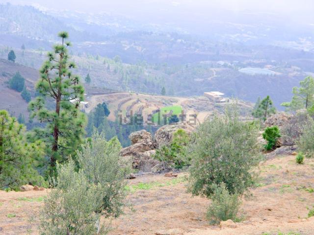 Terreno, Arico