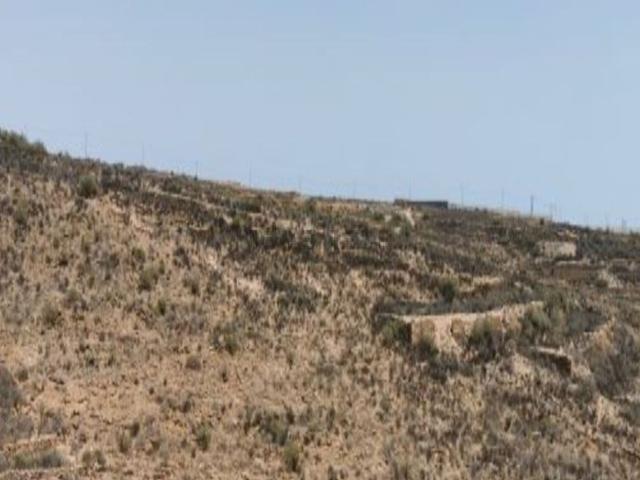 Terreno, Arico