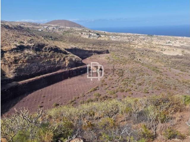 Terreno, Arico
