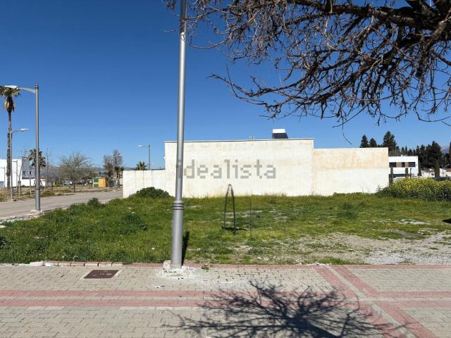 Terreno, Armilla