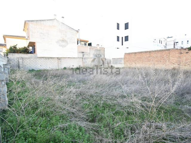 Terreno, Armilla