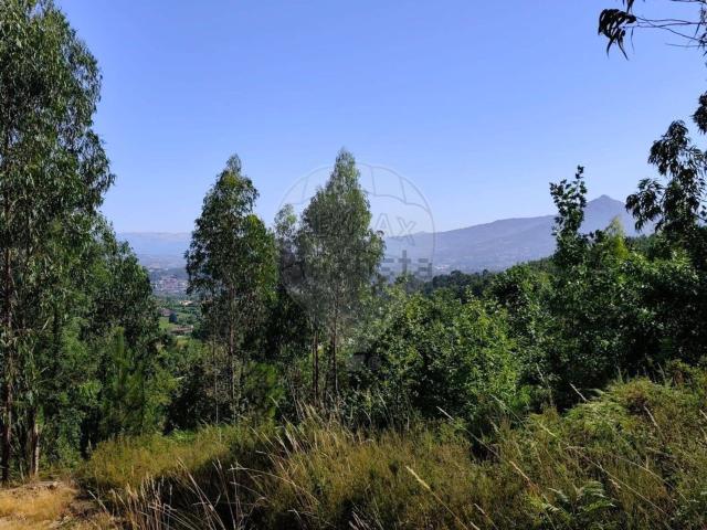 Terreno, Arnoia