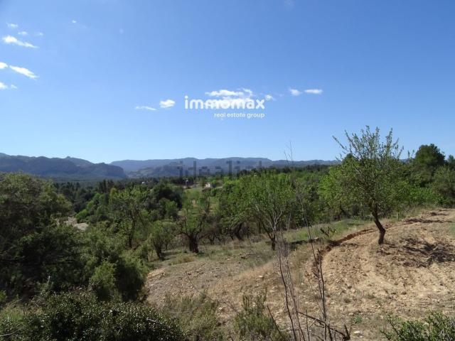 Terreno, Arnes
