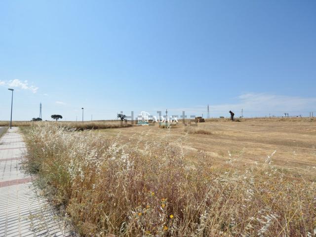 Terreno, Arroyo de la Luz