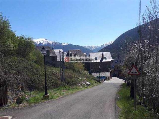 Terreno, Arrós