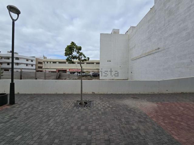 Terreno, Arrecife