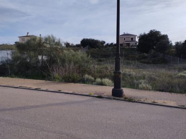 Terreno, Arriate