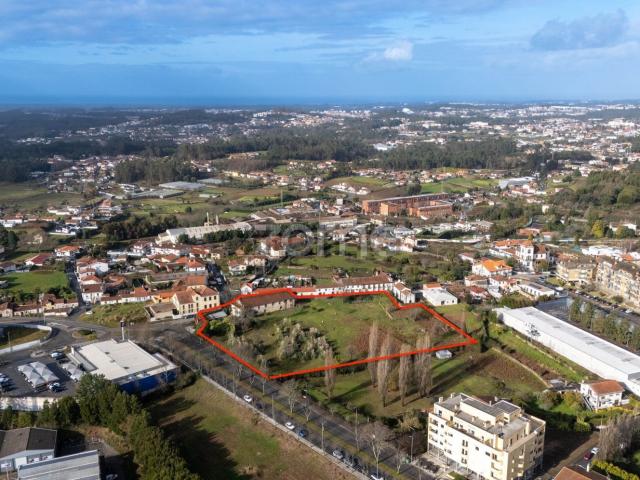 Terreno, Arrifana