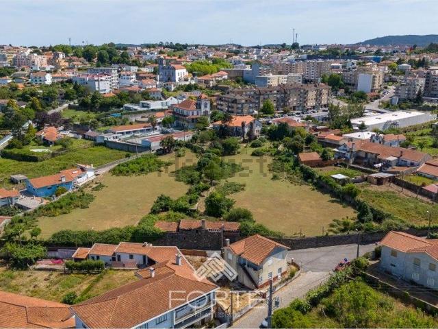 Terreno, Arrifana