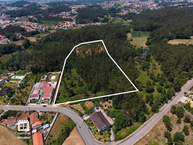 Terreno, Arrifana