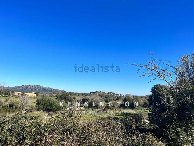 Terreno, Arta