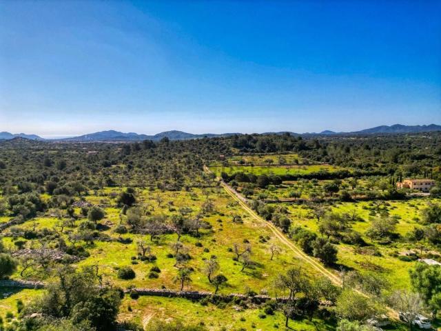Terreno, Arta
