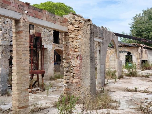 Terreno, Arta