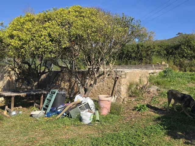 Terreno, Arta