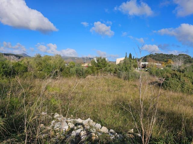 Terreno, Arta
