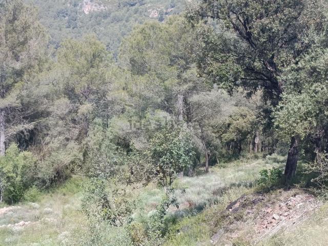 Terreno, Artana
