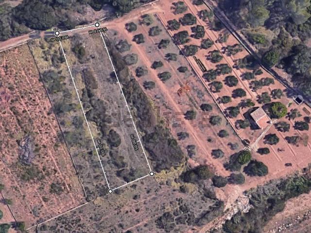 Terreno, Artana