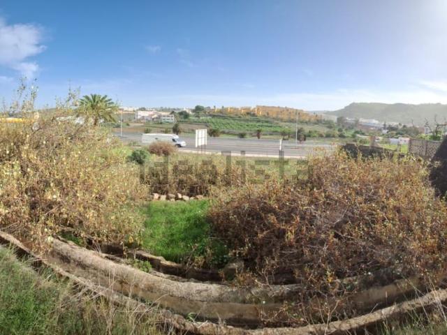 Terreno, Arucas