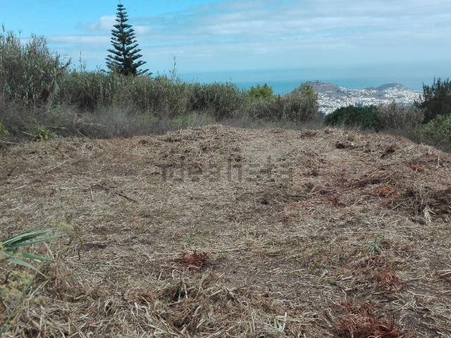 Terreno, Arucas