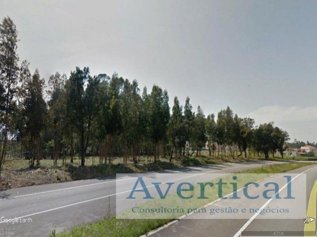 Terreno, Vilar de Pinheiro