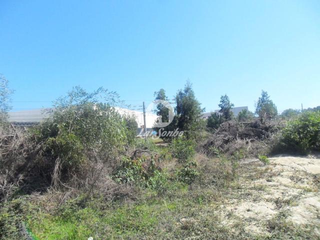 Terreno, Árvore, Vila do Conde | BPI Expresso Imobiliário