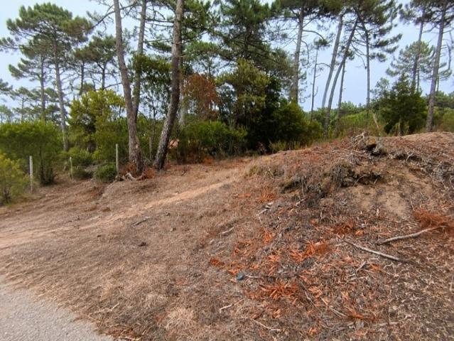 TERRENO ARVENSE COM 1.720M2 EM COLARES SINTRA