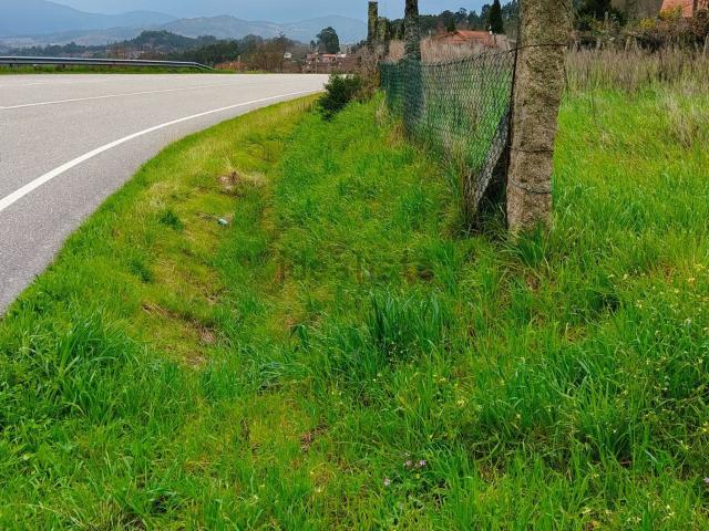 Terreno, As Neves