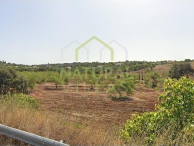 Terreno às portas da Cidade de Loulé