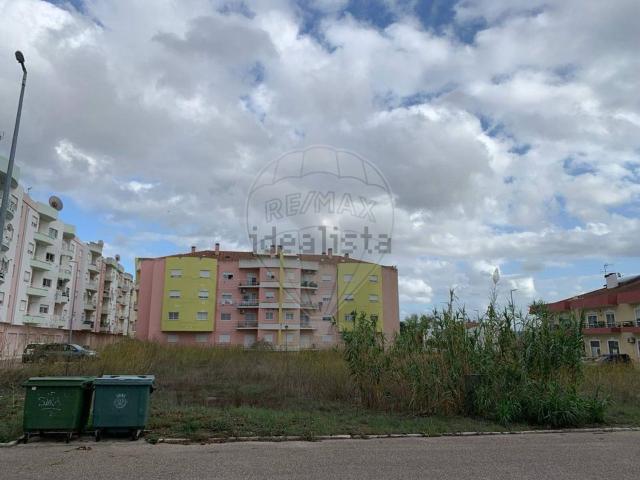 Terreno, Asseiceira