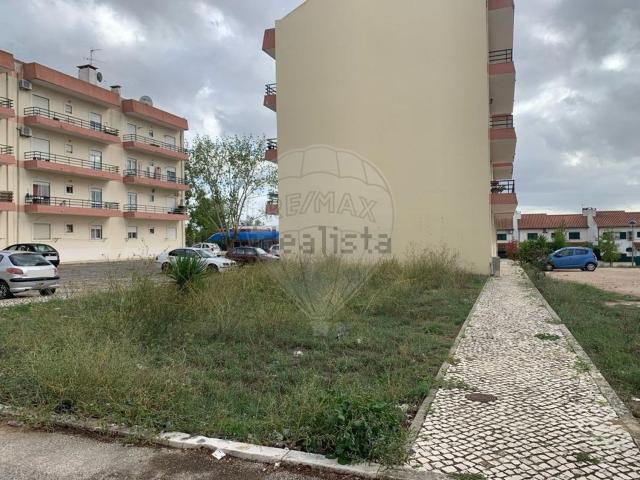 Terreno, Asseiceira
