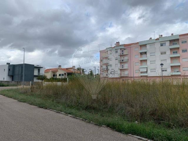 Terreno, Asseiceira