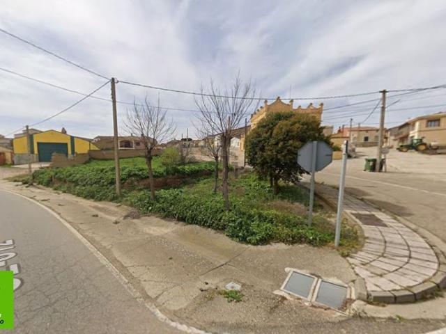 Terreno, Aspariegos