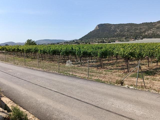 Terreno, Aspe