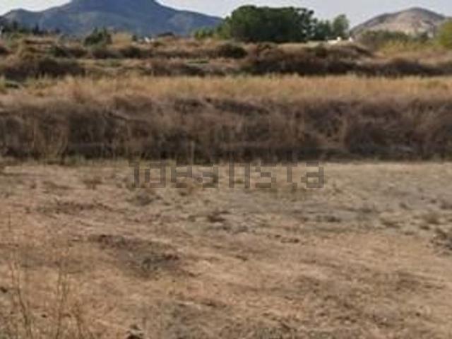Terreno, Aspe
