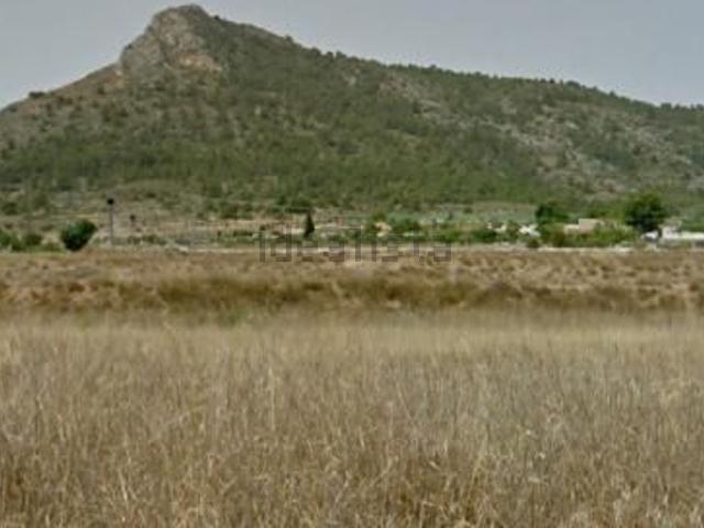 Terreno, Aspe