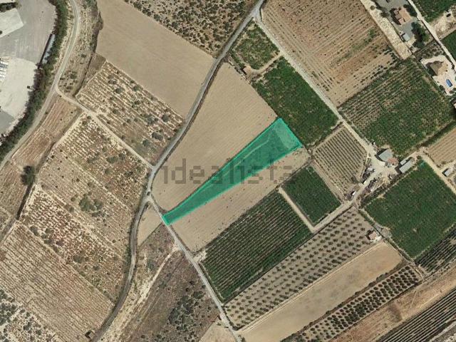 Terreno, Aspe