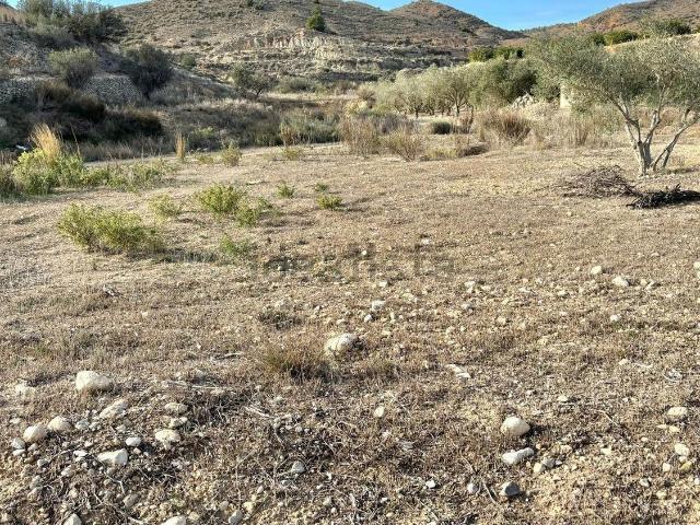 Terreno, Aspe