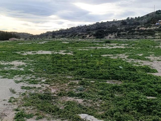 Terreno, Aspe