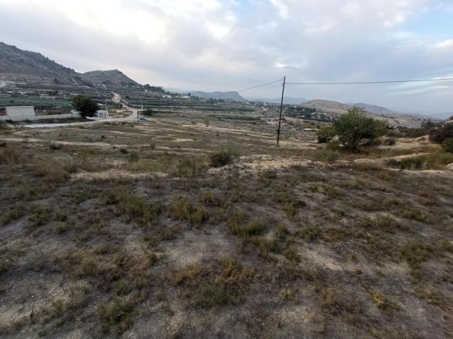 Terreno, Aspe